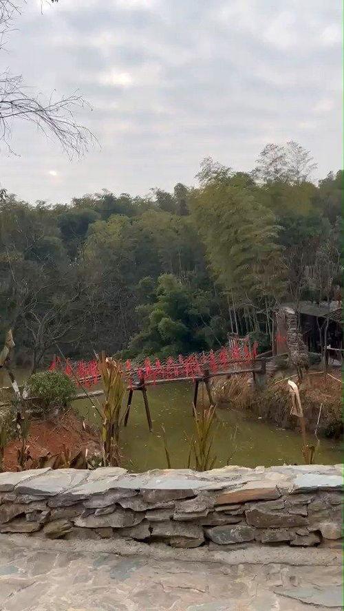 花溪新闻爆料最新消息网,最新动态速览,热点事件追踪 第2张 花溪新闻爆料最新消息网,最新动态速览,热点事件追踪 第2张