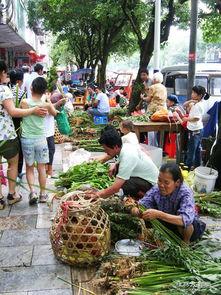 永福县新闻爆料网址,最新动态一网打尽  第3张